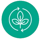 icon1