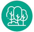 icon3