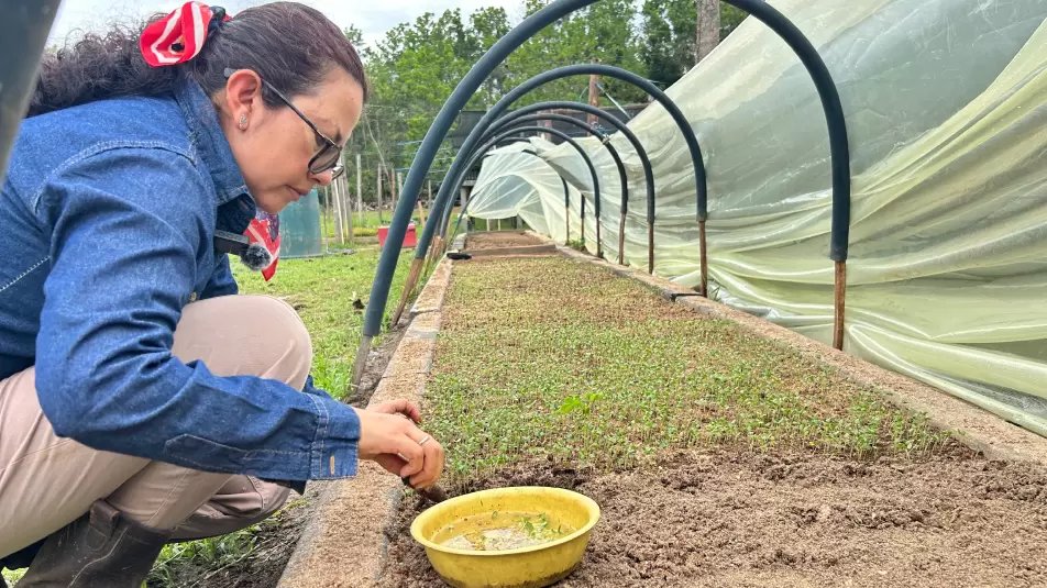 operacion-agroforestal