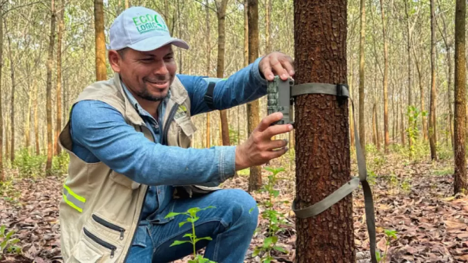 servicio-consultoria-forestal