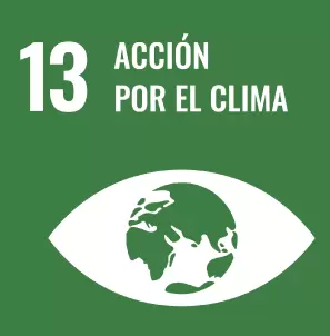 13-accion-por-el-clima