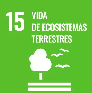 15-vida-de-ecosistemas-terrestres