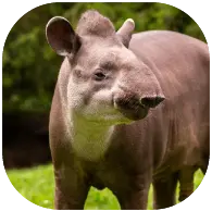 Bancos-de-Habitat-mobile