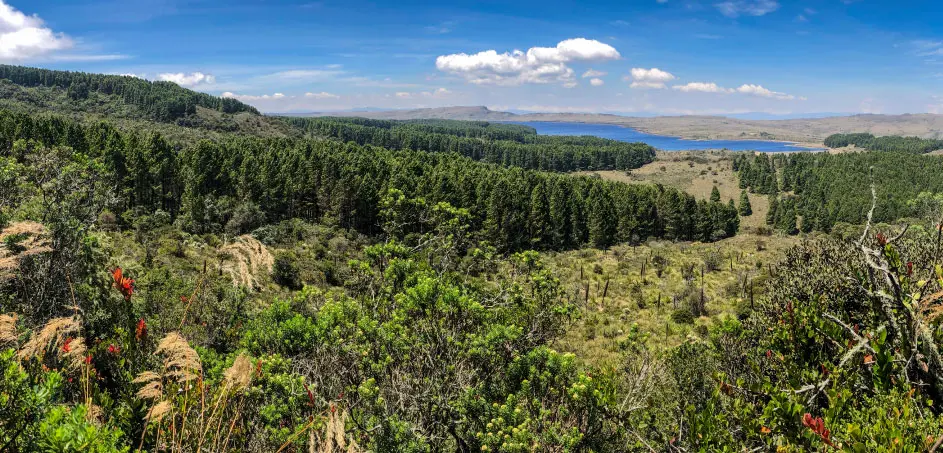 banner-geopark